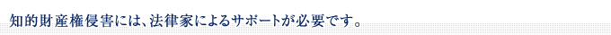 知的財産権侵害には、法律家によるサポートが必要です。